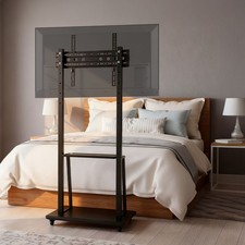 Mobile Floor Standing TV